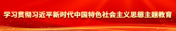 男捅女肛门网站学习贯彻习近平新时代中国特色社会主义思想主题教育